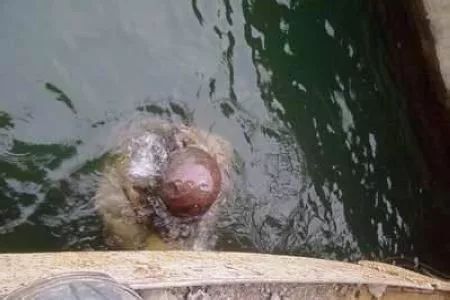 捞尸人最怕的是什么尸体,捞尸人最怕哪种尸体