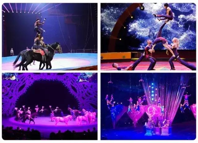 终于定了！世界皇家马戏嘉年华空降淮北吾悦广场！