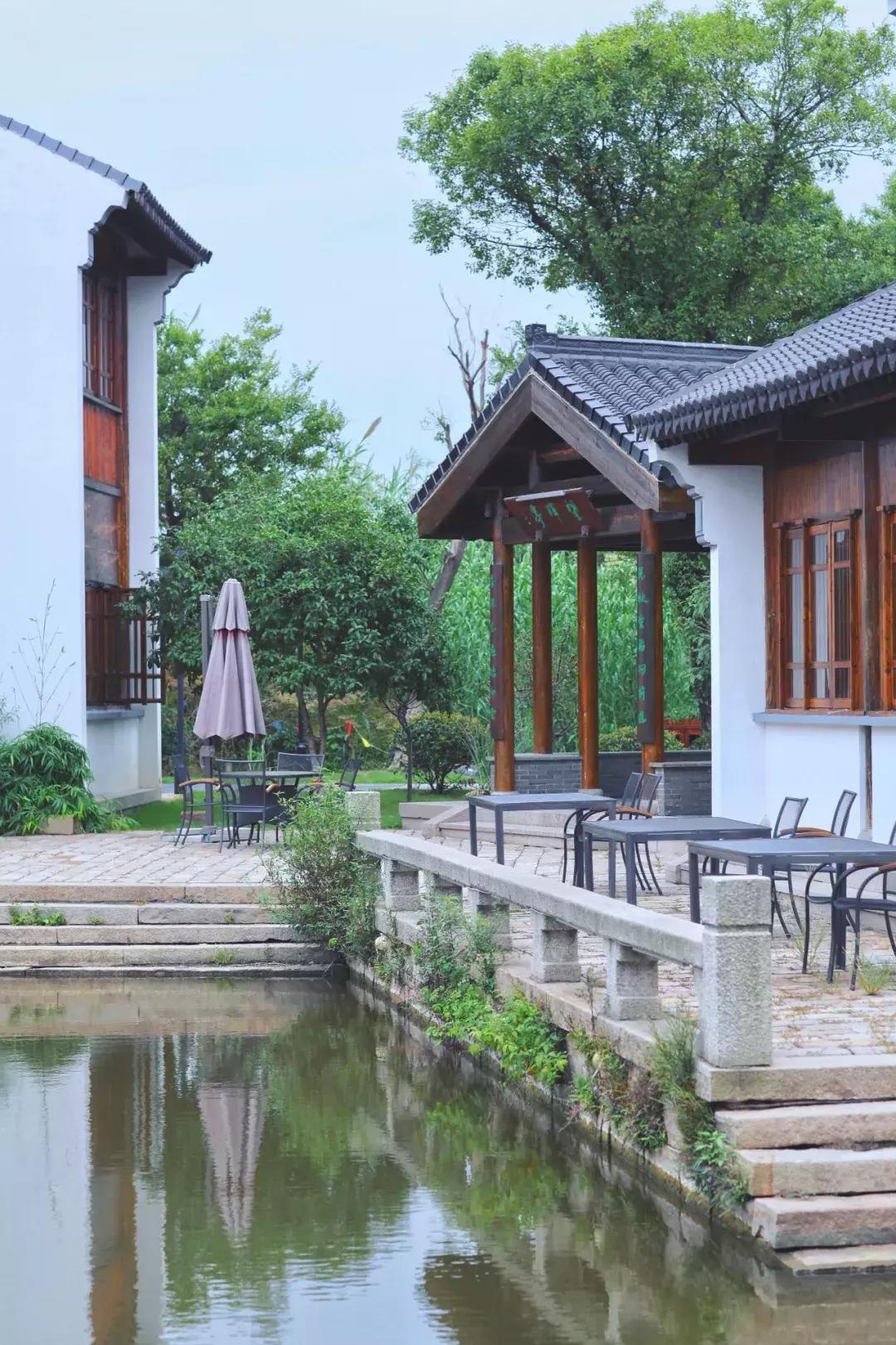 沙家浜芦苇荡游玩体验感想,沙家浜风起芦苇荡