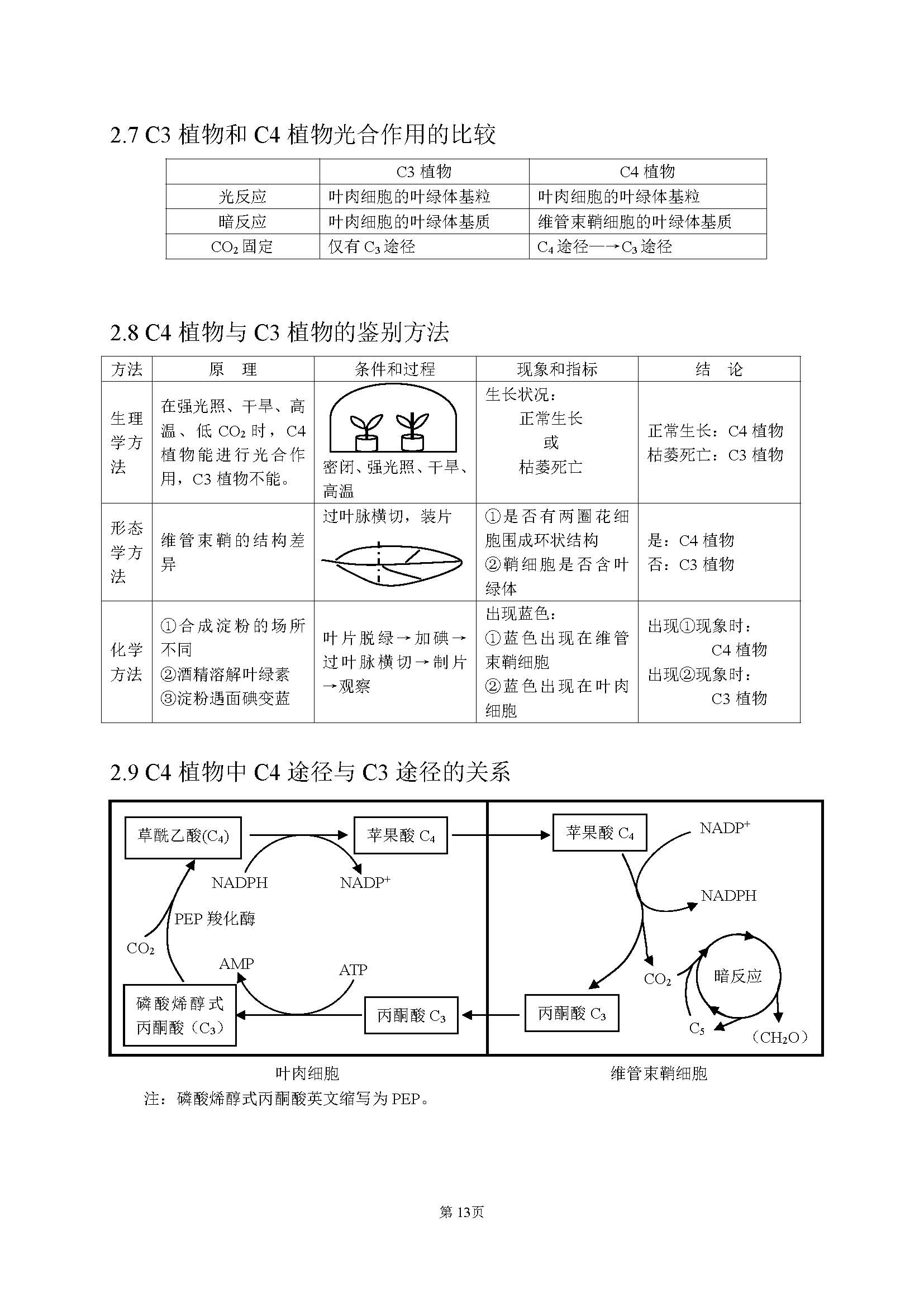 高中生物最基础的知识点,高中生物简单的知识梳理