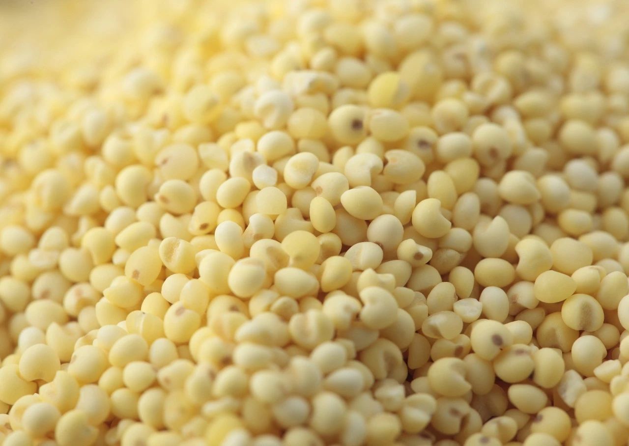 绍兴老酒女儿红黄酒,绍兴黄酒女儿红花雕酒