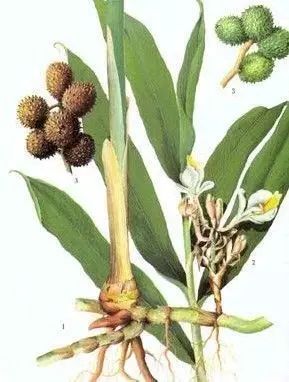 万物之间的相生相克,自然界中的万物相生相克