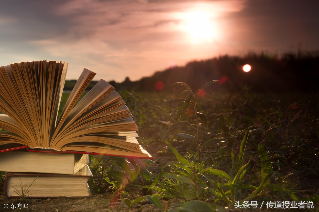 昆虫记读后感范文400字,昆虫记读后感每篇400字