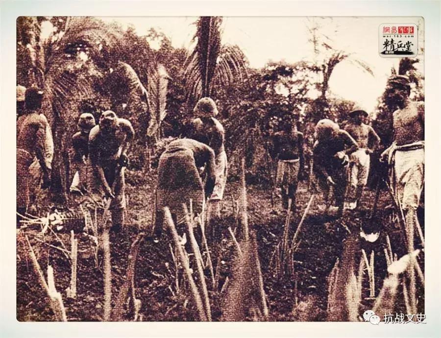 食人恶魔吃什么最好,二战时期日军的食人族