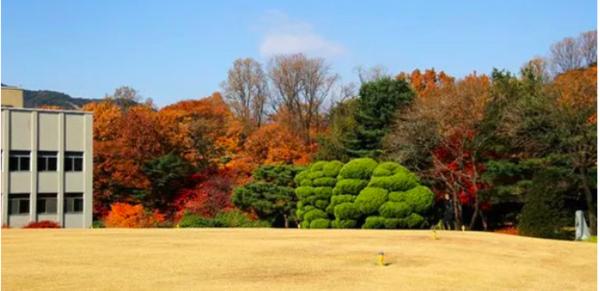 济州岛一年往返12次,到济州岛旅行行程