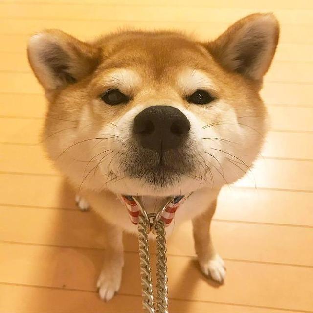 早安坚持励志正能量的句子朋友圈,晚上加班发朋友圈励志的精美句子