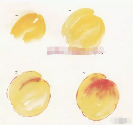 蔬菜水果画法,水果简单画法入门图文