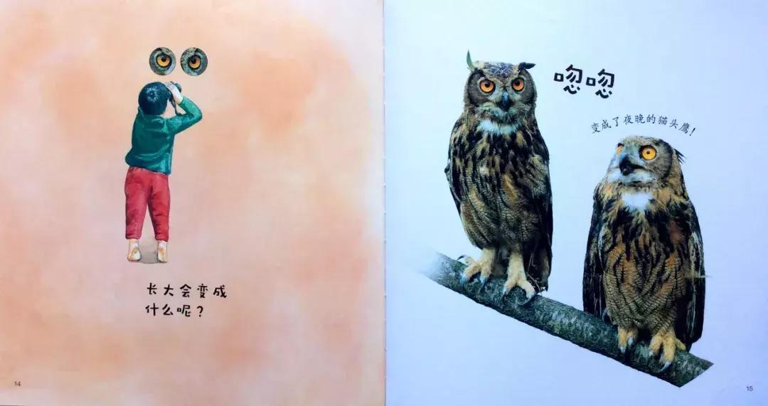 儿童益智书籍3-6岁绘本,宝宝图书1-3岁大绘本