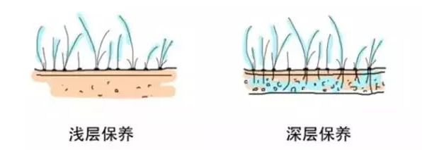 让头发超级柔顺的发膜,水光蛋白修复干枯毛躁发膜