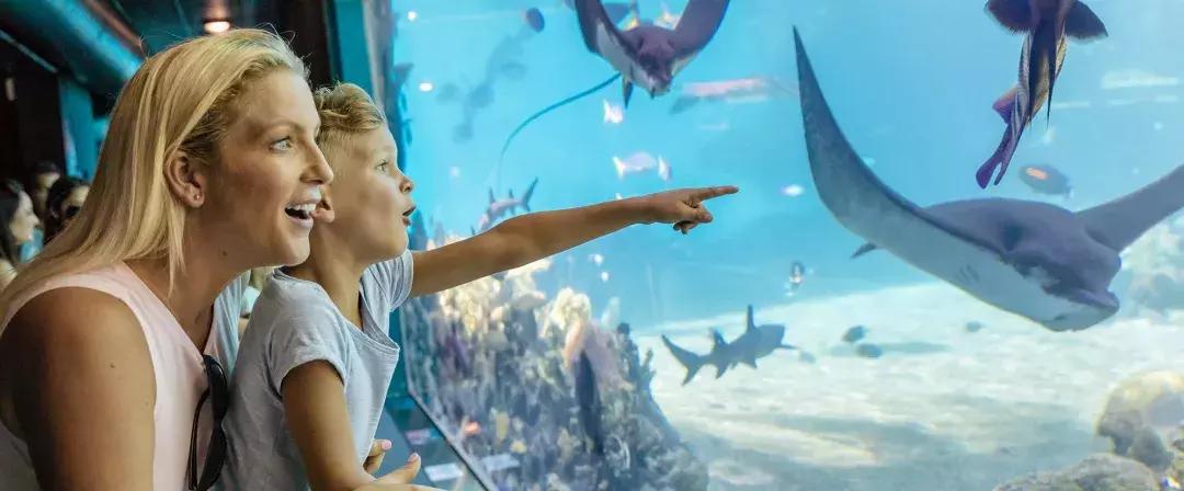 十一后再出游，轻松省出1部iPhoneXS！