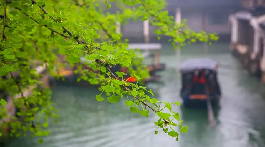 涓嶅繀閫冪鍩庡競,涓嶇敤閫冪鍩庡競涔熷彲浠ユ劅鍙楃殑鍦版柟