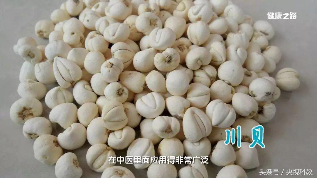 感冒咳嗽有什么偏方可以治,白萝卜治感冒咳嗽偏方