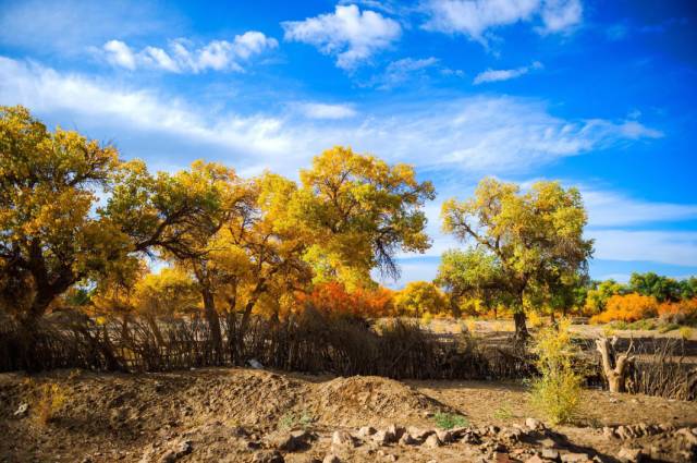 国庆到来一场释放身心旅行,国庆长假自驾