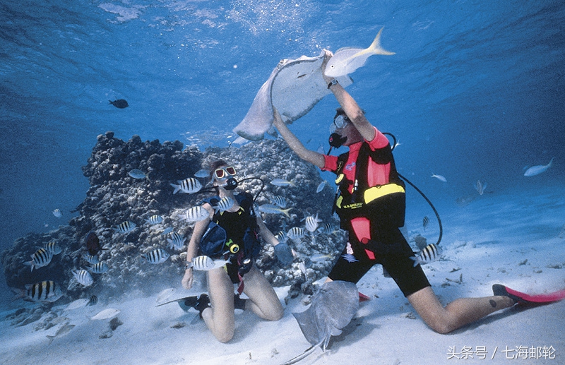 加勒比海美丽风景,美丽如画的加勒比海
