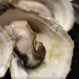 广州旅游景点排行榜前十名有哪些,广州旅游攻略必去十大景点沙面岛