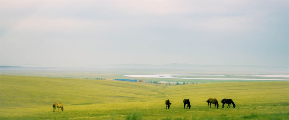 2018旅游景区口碑差评排行榜,口碑最差的5个景区有哪些