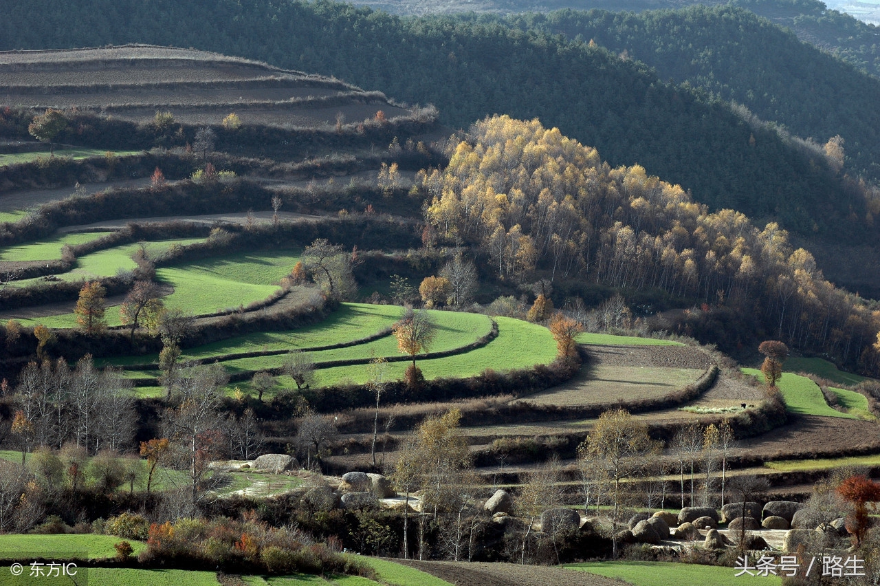 网友吐槽:“甘肃穷、甘肃懒”;专家:这么批评甘肃等于批评自己