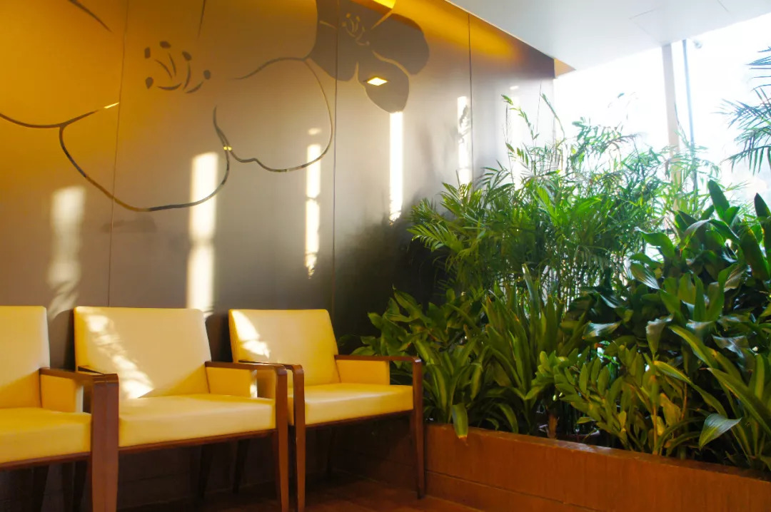 图说｜高“绿”预警！揭秘和睦家启望中心的8个绿色“心机”