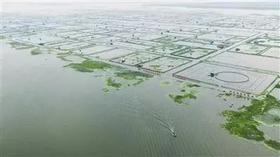 卖假货的超市为何如此火爆,实体店卖假货曝光