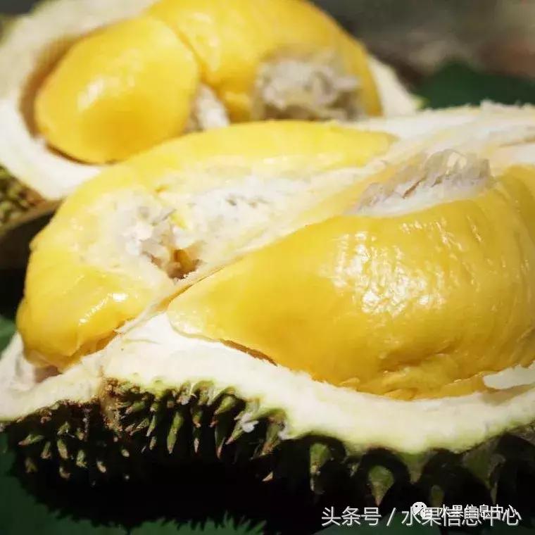 从榴莲代购起家，到64个实体销售点，他势要打造一个榴莲王国