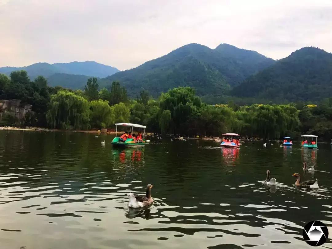 秦岭野生动物园真实攻略,秦岭野生动物园两大两小攻略