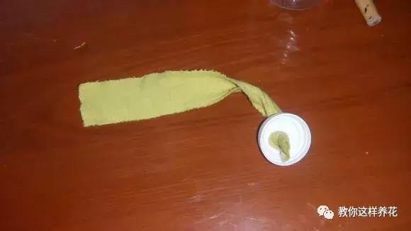 塑料瓶怎么剪可以种花,怎样剪矿泉水瓶种花