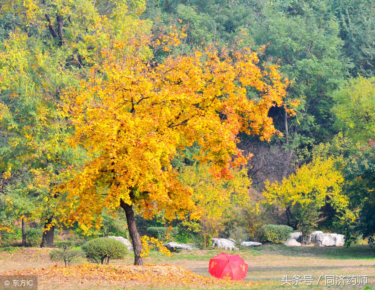 老人手脚冰凉咳嗽哮喘怎么办,哮喘患者为什么手脚冰凉