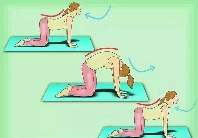 猫牛式动作讲解,猫牛式正确练习和错误练习