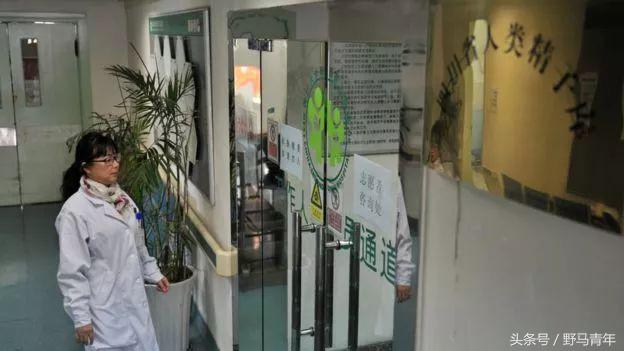 冻卵成功率只有百分之二十多,冻卵是单身的后悔药吗