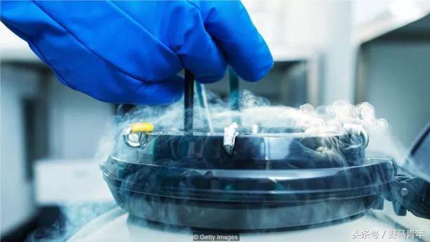 冻卵成功率只有百分之二十多,冻卵是单身的后悔药吗