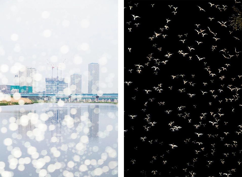 澶忓ぉ鐨勬憚褰卞笀鍐欑湡,鏃ユ湰鎽勫奖甯堟媿鍒板澶╃殑鍛抽亾