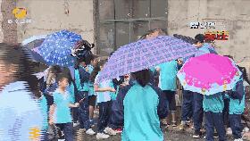 8岁男孩被仓鼠咬伤有没有大碍,小孩被宠物仓鼠咬出血怎么办