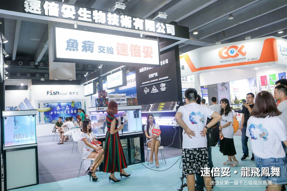 十大顶级巨型观赏鱼视频播放,顶级观赏鱼高清全屏视频