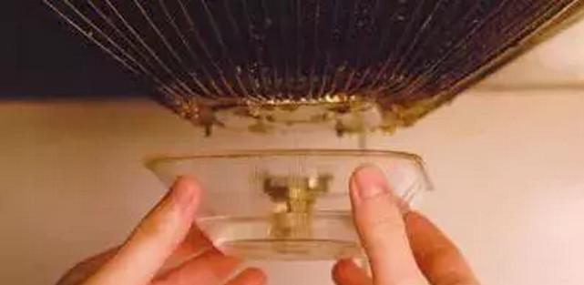 超级有魅力的星座女生来看看吧,比较有魅力的星座女前三