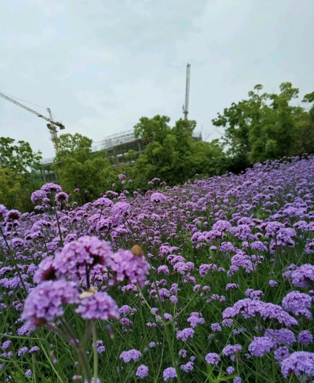 南昌纯玩一日游必去景点攻略图,南昌游玩景点推荐一日游攻略