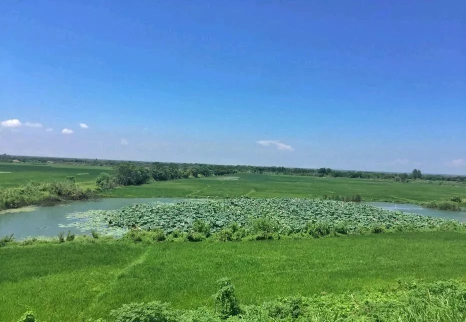 南昌纯玩一日游必去景点攻略图,南昌游玩景点推荐一日游攻略
