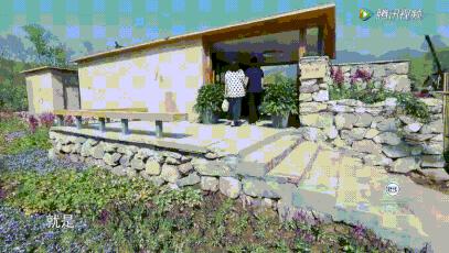 20亿？真的配得上林青霞的身价吗？