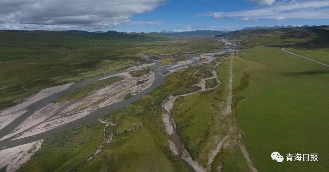 青海湖国家公园征集logo,沙柳河国家湿地公园湟鱼