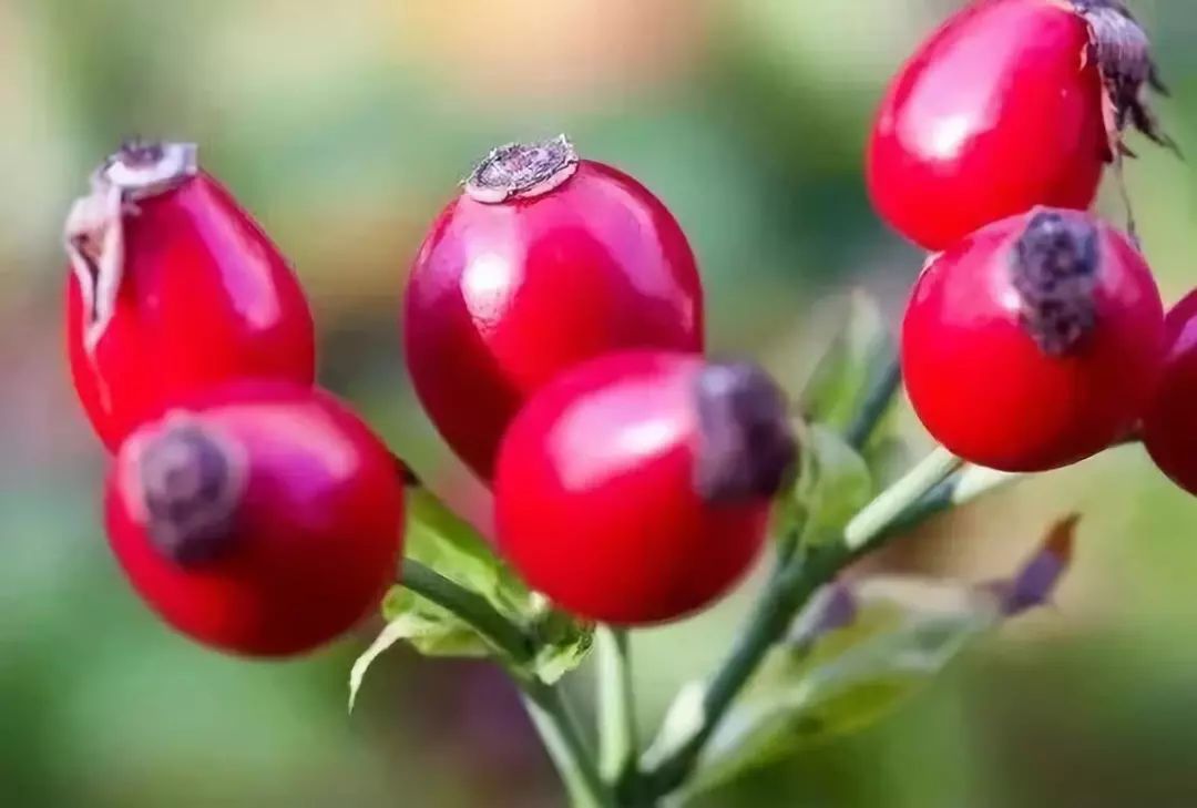 澳洲美白丸效果好吗,澳洲美白丸有用吗