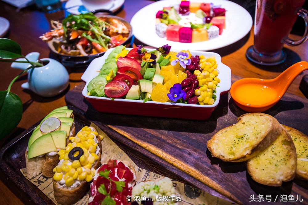 大连极地企鹅,南极企鹅求婚视频