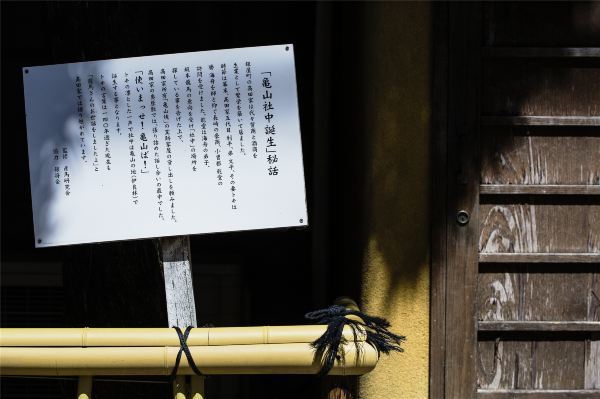 海洋量子号游轮2019年8月16日攻略,海洋量子号不怕台风吗