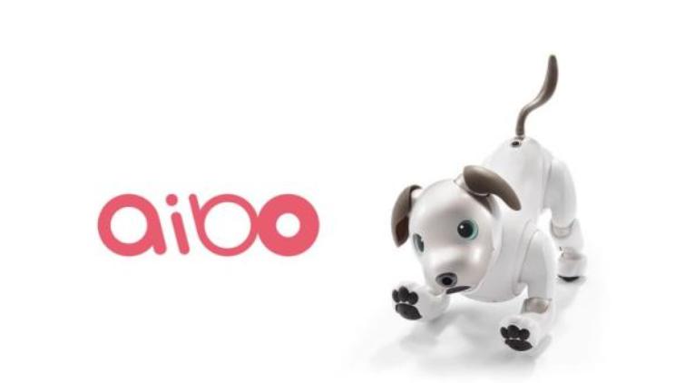 索尼宠物机器狗,日本索尼第一代机器狗
