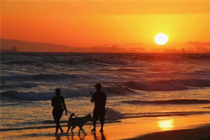 从高管到主妇从留学到创业,从高管到主妇的创业