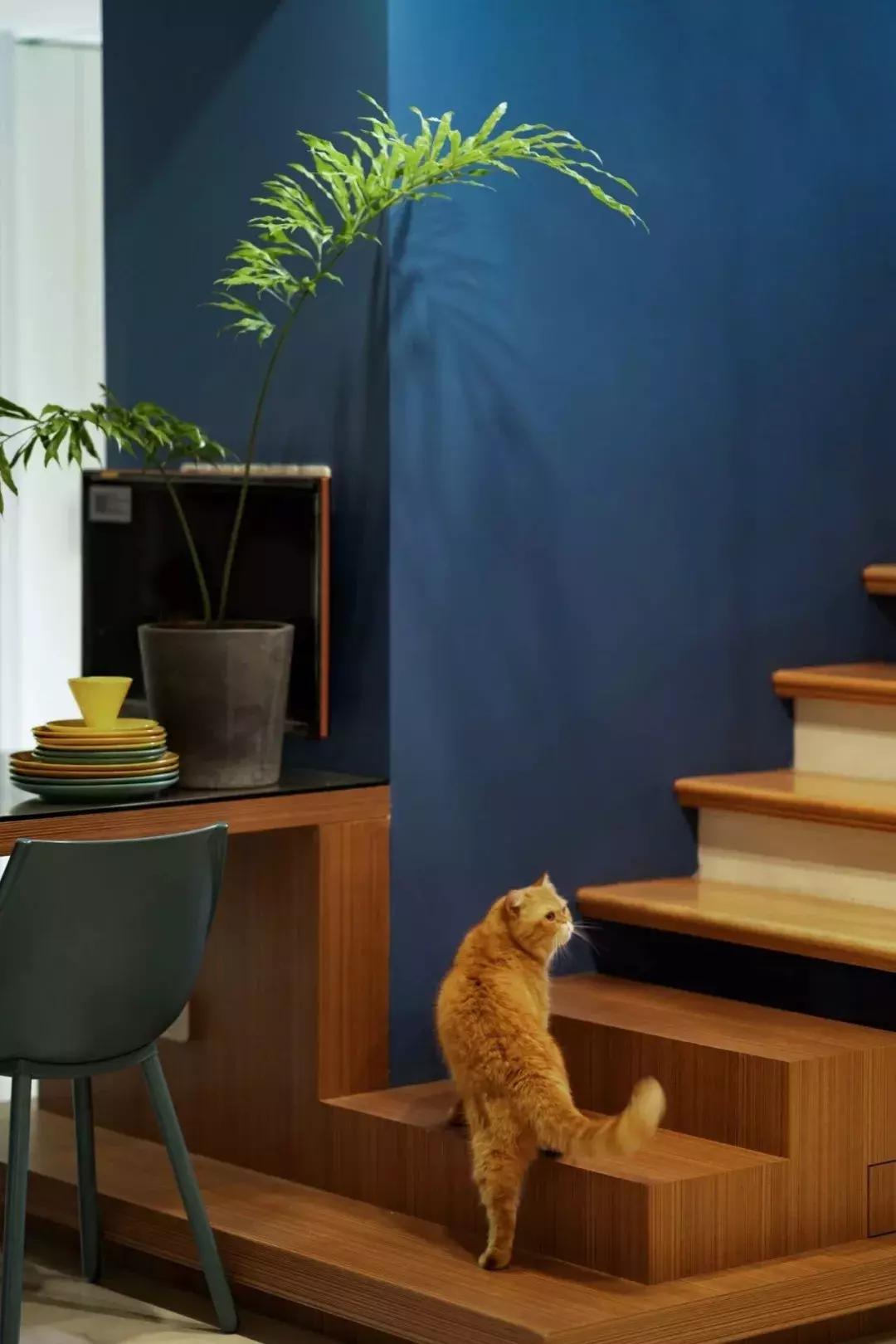 閾插睅瀹樺拰鐚挭鐨勫崸瀹よ璁″浘,閾插睅瀹樼粰鑷鐚挭璁捐鎴垮瓙