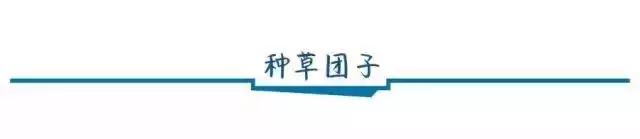 好吃还不发胖的低脂零食,低脂零食解馋吃不胖