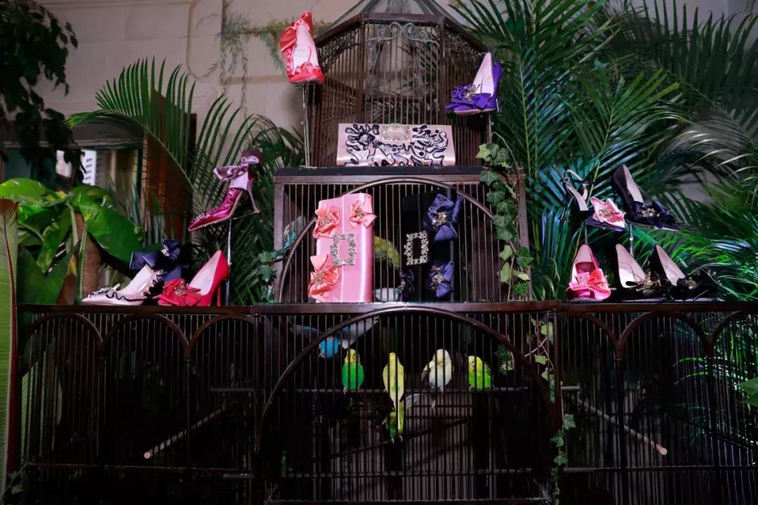 戚薇霸气走秀,唐嫣戚薇机场街拍大全