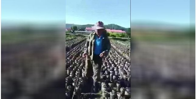 9月流言榜,网观辟谣近期十大谣言千万别信