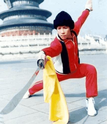 陈国敏谈李连杰甄子丹,陈惠敏评价甄子丹李连杰