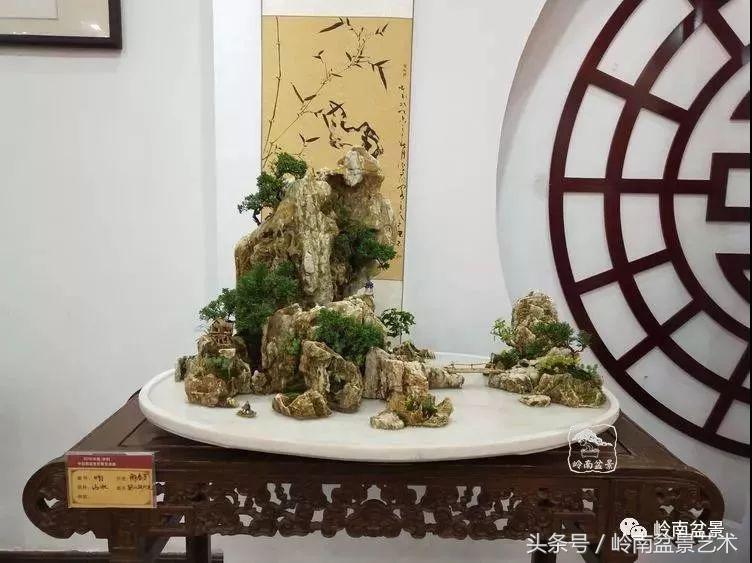 百年精品流苏老桩盆景,精品南天竺盆景