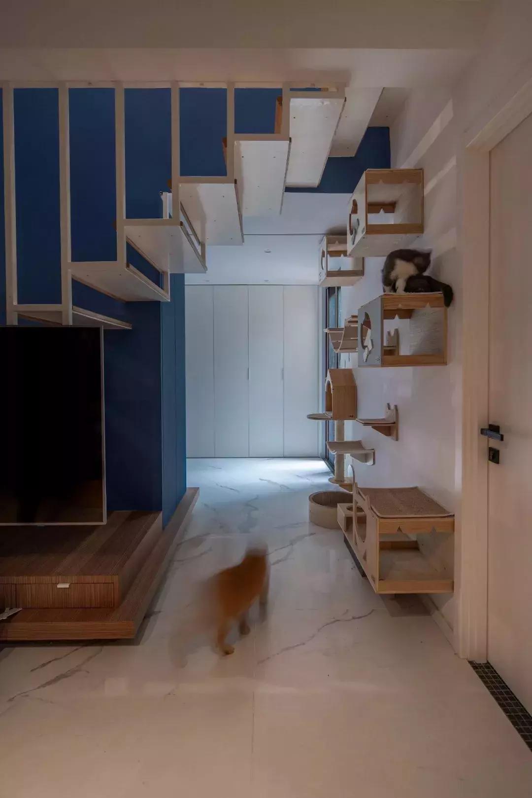 小满优选｜拥有两只喵的铲屎官，找人把110m²三室设计成这样！